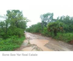 Sale land Nyaunghnapin Breeding Farm 10 Acre, Hlegu.