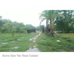 Sale land Nyaunghnapin Breeding Farm 10 Acre, Hlegu.