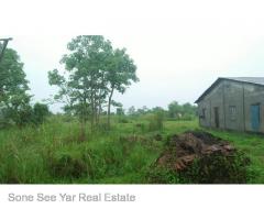 Sale land Nyaunghnapin Breeding Farm 10 Acre, Hlegu.
