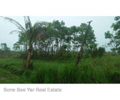 Sale land Nyaunghnapin Breeding Farm 10 Acre, Hlegu.