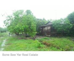 Sale land Nyaunghnapin Breeding Farm 10 Acre, Hlegu.