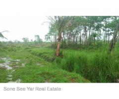 Sale land Nyaunghnapin Breeding Farm 10 Acre, Hlegu.