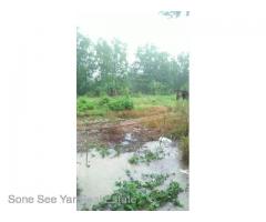 Sale land Nyaunghnapin Breeding Farm 10 Acre, Hlegu.