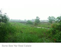 Sale land Nyaunghnapin Breeding Farm 10 Acre, Hlegu.