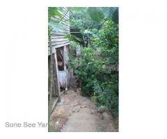Sale Land Maharsi Own Street 0.20 Acre Bahan TSW