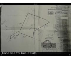 (CJV - 00152) , ငမိုးရိပ္ေခ ်ာင္းေမးတင္ 7.139 Acre Mingalartaungnyunt TSW