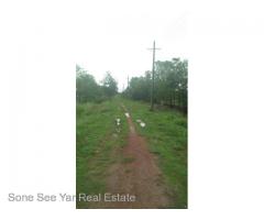 (SL 8 - 00147) , Kyun Shwe War Street, Orchid Garden, Mingalardon Township