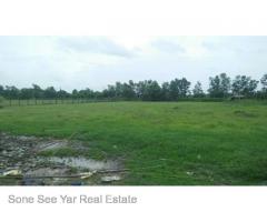 (SL 10 - 00145) , Kyun Shwe War Main Road, Orchid Garden, Mingalardon Township