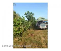 SL 6 - 0010 Sale Land Hlegu Near ငါးဆူေတာင္ 1.72 Acre ပံုစံ ၁၀၅ ေရာင္းရန္ရိွပါသည္ ၊၊